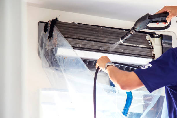 Best Air Duct Sanitizing Services  in Woody, WA