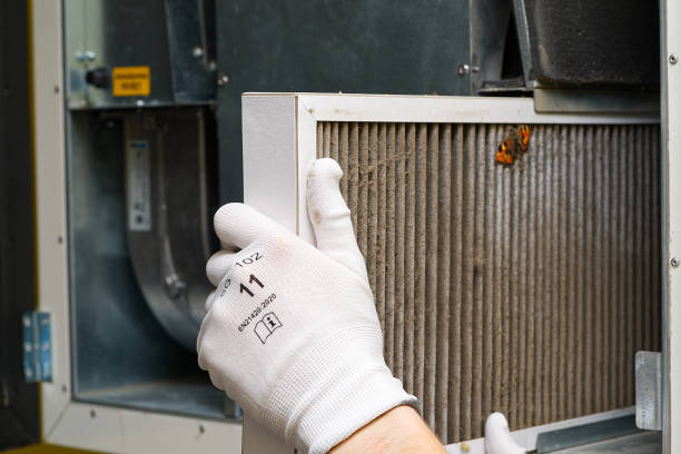 Best Air Duct Mold Removal  in Woody, WA